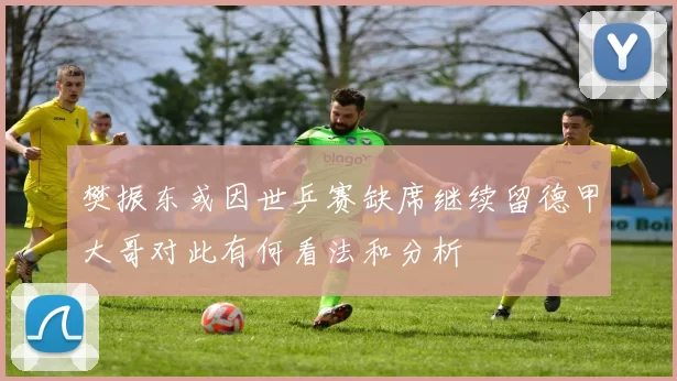 樊振东或因世乒赛缺席继续留德甲大哥对此有何看法和分析