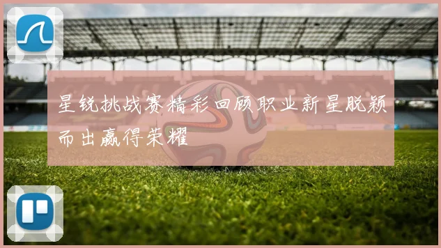 星锐挑战赛精彩回顾职业新星脱颖而出赢得荣耀