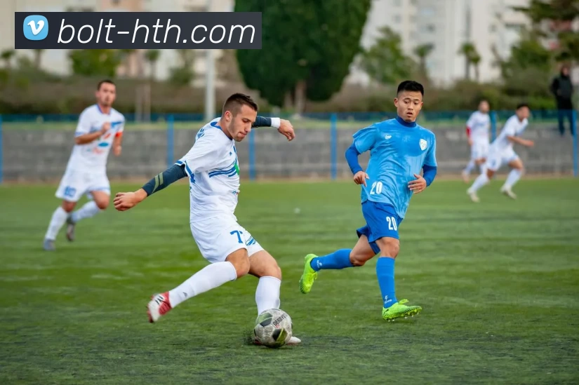 hth体育服务体系